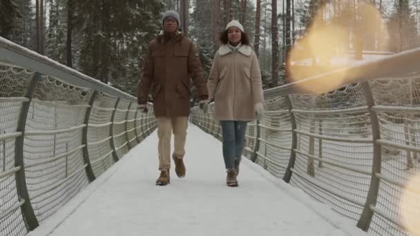 Uzamčení Mladého Multietnického Páru Teplém Oblečení Romantickým Rande Zimním Parku — Stock video