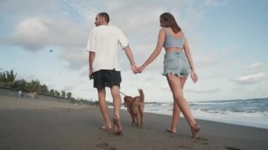 Düşük açılı romantik çiftin el ele tutuşup, sıcak yaz gününde okyanus kıyısında yürüyen Golden Retriever köpeğinin tasmasını taktığı bir sahne.