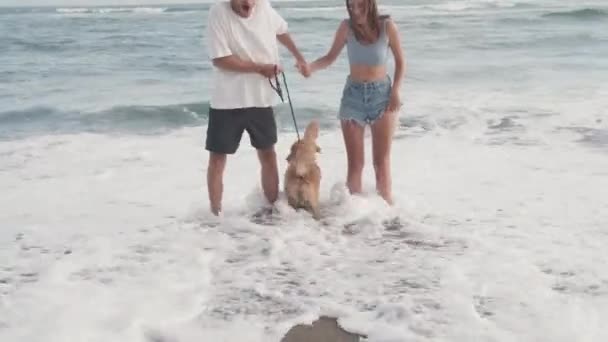 Filmagem Completa Jovem Casal Romântico Mãos Dadas Cão Golden Retriever — Vídeo de Stock