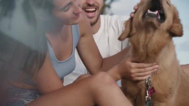 Koyu saçlı, güzel beyaz bir kızın gülümsemesi, güneşli bir günde av köpeğini dışarıda okşaması, genç erkek arkadaşının kafasını okşaması, hepsi iyi vakit geçiriyor.