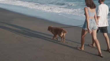 Yüksek açılı, tanınmayan iki insanın el ele tutuşmalarını, sıcak yaz gününde kumlu deniz kıyısında köpek gezdirmelerini.