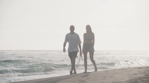 Ilık Güneşli Bir Günde Sahibinden Ele Tutuşup Deniz Kıyısında Yürüyen — Stok video