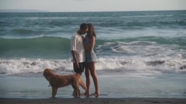 Genç, zayıf, beyaz, romantik çiftin kumlu okyanus kıyısında kıyıya vuran dalgaların önünde öpüşürken Golden Retriever köpekleri etrafta dolanıyor.