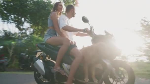 Arco Tiro Joven Pareja Caucásica Feliz Perro Sentado Scooter Eléctrico — Vídeos de Stock