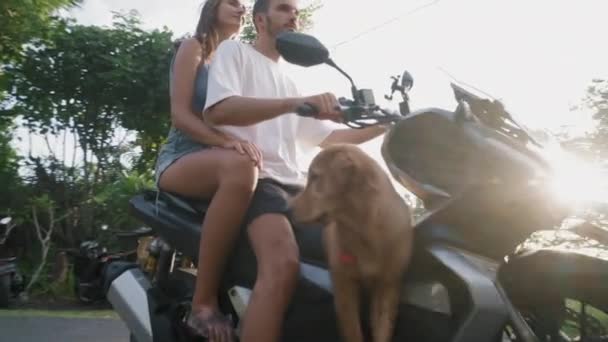 Arco Tiro Feliz Pareja Romántica Caucásica Perro Sentado Scooter Eléctrico — Vídeos de Stock