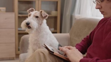 Kırmızı kazak giyen, oturma odasında kanepede oturan, tablet bilgisayar kullanan ve sevimli Tel Tilki Teriyer köpeğini okşayan...