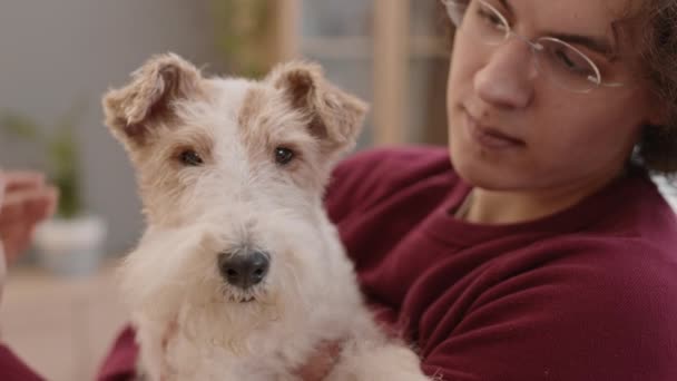 Close Van Vrolijke Schattige Fox Terrier Hond Armen Van Liefhebbende — Stockvideo