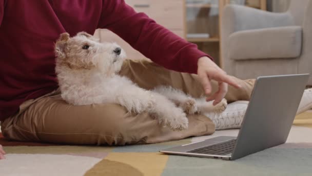 穿着米色裤子和红色毛衣 头戴无法辨认的庄稼主人的腿上躺着一只白色电线福克斯地球狗 看着手提电脑 — 图库视频影像