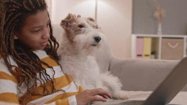 Medium side view of lovely African American school girl sitting on couch in room, using laptop computer, petting adorable Wire Fox Terrier dog