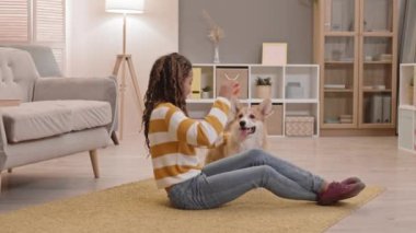 Güzel Afrikalı Amerikalı bir kızın oturma odasında oturup gülümsemesi, konuşması, sevimli Pembroke Corgi köpeğiyle oyuncak top oynaması.