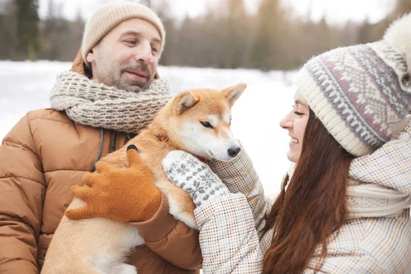 在冬天的森林里 人们一边与小狗玩耍一边在户外散步 把这对快乐的成年夫妇的肖像挂起来 — 图库照片
