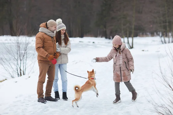 Ganzkörperporträt Einer Glücklichen Familie Die Mit Hund Freien Spielt Während — Stockfoto
