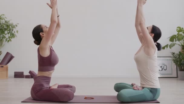 Weite Aufnahme Von Zwei Weiblichen Yogis Sportkleidung Die Lotusposition Auf — Stockvideo