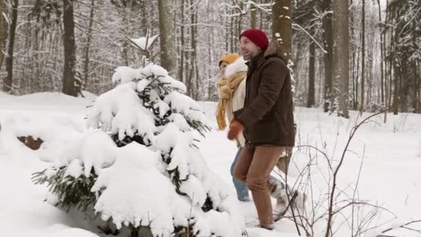 追踪走在冬季森林里的一对快乐的多民族夫妇 在一棵小松树旁停下脚步 清扫雪地 开心地笑着 白种人向亚洲女人扔雪地 — 图库视频影像