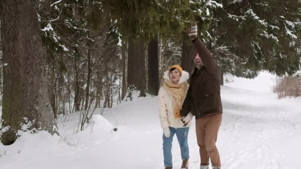 Lezárt Felvétel Többnemzetiségű Romantikus Párról Akik Téli Fenyőerdőben Sétálnak Kéz — Stock videók