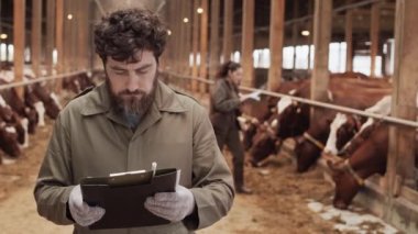 Kıvırcık saçlı, sade beyaz bir adamın belden yukarı poziyonu. İnek ahırında duruyor, klasörde gazete okuyor, sonra da kameraya bakıyor. İş arkadaşı arka plan üzerinde çalışıyor