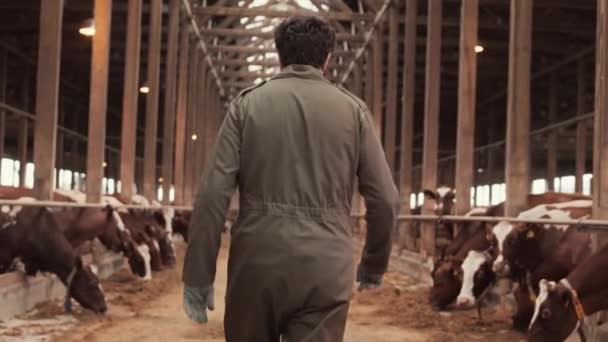 Rückfahrkamera Mittellang Von Nicht Wiederzuerkennenden Lockigen Bauern Arbeitsanzug Der Gang — Stockvideo