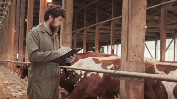 Medium Long Caucasian Man Taking Notes Paddock Looking Animals His — Stock Video