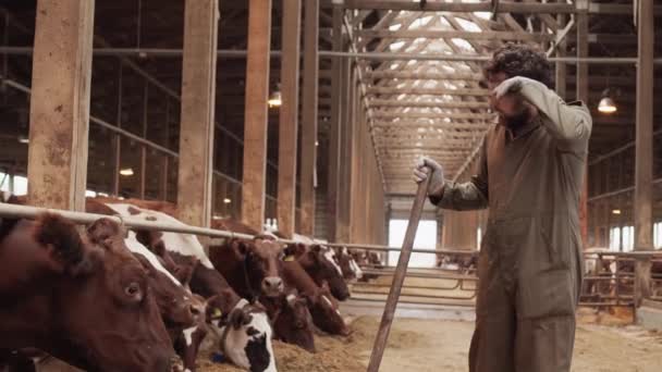 Média Longa Homem Cansado Agricultor Caucasiano Estábulo Limpando Suor Testa — Vídeo de Stock