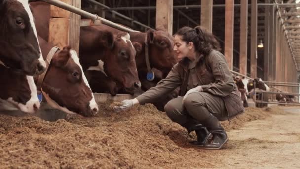 Amplia Toma Alegre Mujer Campesina Raza Mixta Sentada Cuclillas Por — Vídeo de stock