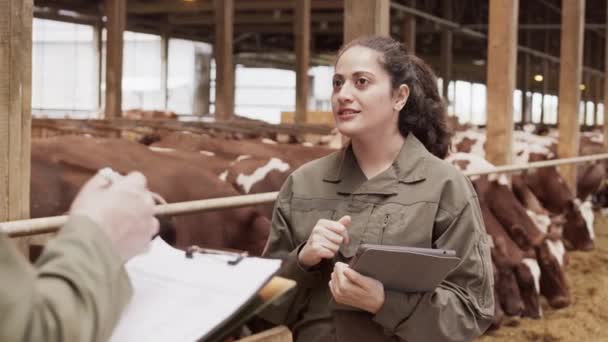 女混血农民与无法辨认的同事交谈的镜头 这些同事在纸上记笔记 站在谷仓里放着棕色和白色奶牛的人 — 图库视频影像