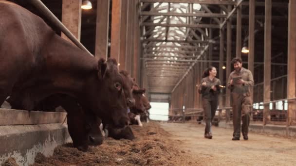 Lage Hoek Afgesloten Achterkant Van Twee Verschillende Boeren Glimlachend Pratend — Stockvideo