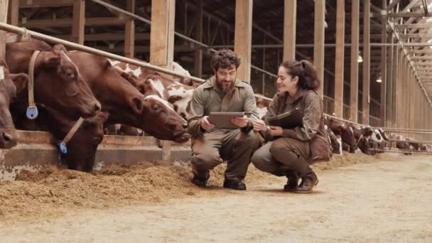 Wide Shot Two Diverse Professional Farm Workers Sitting Squat Fencing — Stock Video