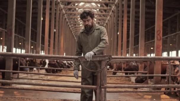 Mittellange Aufnahme Eines Kaukasischen Landwirts Mit Lockigem Haar Der Sich — Stockvideo