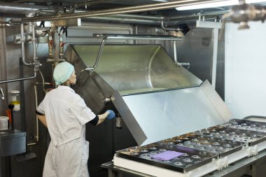 Cheesemaking fabrikasındaki atölyede çalışan kadın işçi çalışma makinelerinin arka planı, kopyalama alanı
