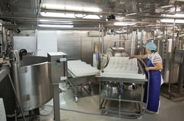 Peynir ve mandıra fabrikasında, gıda üretiminde, fotokopi alanında tam boy kadın işçi ve ekipman