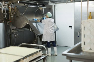 Cheesemaking fabrikasındaki atölyede temizlik tankı yıkayan kadın işçilerin tam boy portresi.