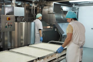 Endüstriyel gıda fabrikasında peynir üretimini kontrol eden iki kadın işçinin portresi, kopyalama alanı