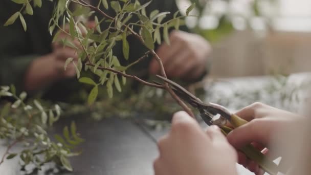 Handen Van Onherkenbare Persoon Afsnijden Van Stukken Decoratieve Plantentak Met — Stockvideo