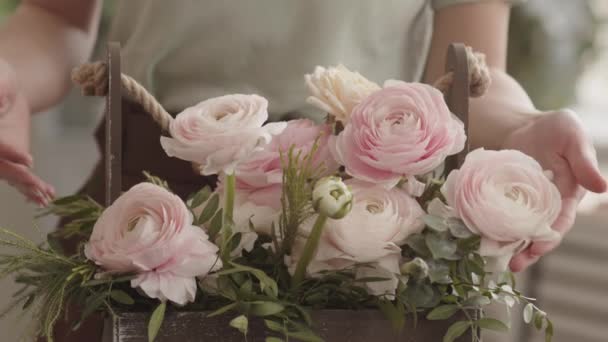 Manos Persona Irreconocible Recortada Tocando Rosa Claro Fresco Persa Buttercup — Vídeos de Stock