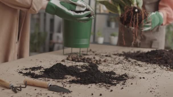 Jardinero Irreconocible Usando Guantes Jardinería Recogiendo Tierra Superficie Mesa Poniéndola — Vídeo de stock