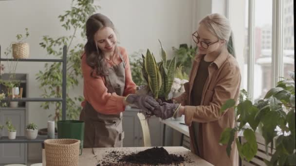 Średnio Długie Dwie Młode Kobiety Rasy Kaukaskiej Rękawiczkach Ogrodniczych Uśmiechnięte — Wideo stockowe