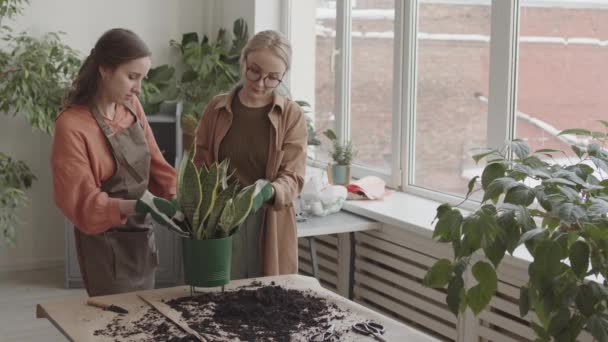 Hög Vinkel Medium Pov Två Beskurna Kaukasiska Kvinnliga Växtverkstad Arbetare — Stockvideo