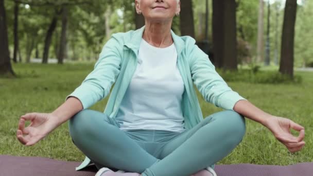 Tilt Aged Caucasian Female Yogi Wearing Sportswear Sitting Lotus Position — Stock Video