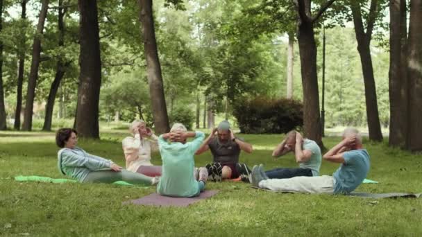 在公园草坪上躺在垫子上 一起做仰卧起坐的几位老年男女运动员的全景照片 — 图库视频影像