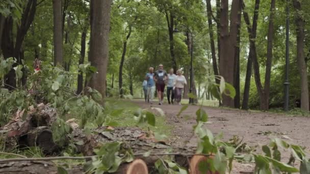 Bir Kaç Erkek Kadın Koşucunun Parkta Spor Kıyafeti Giyip Birlikte — Stok video