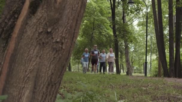 Kafkasyalı Sporcu Erkek Kadınların Spor Giysileri Giyip Parkta Birlikte Koşarken — Stok video