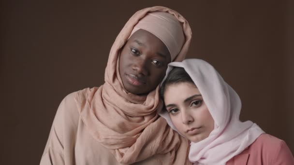年轻的穆斯林混血儿和非洲妇女头戴头巾 头戴阿拉伯头巾 站在一起 站在褐色背景下 看着镜头的封闭画像 — 图库视频影像
