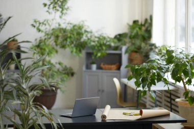 Background image of minimal office interior decorated with many green plants, orangery and florist concept, copy space