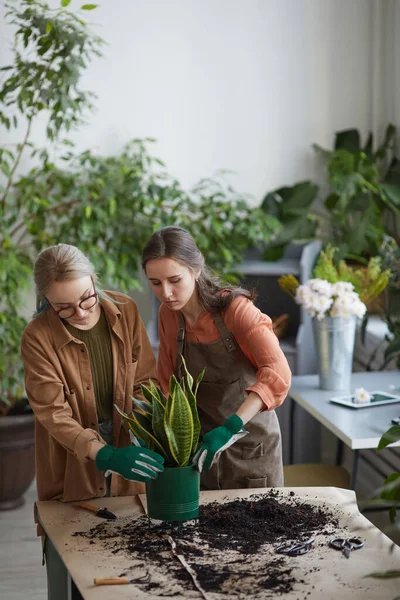 フラワーショップや園芸で一緒に作業しながら 2人の若い女性の花屋の植物を植える垂直肖像画 スペースをコピー — ストック写真
