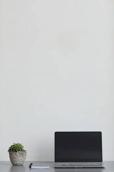 Ofisteki Boş Dizüstü Bilgisayarın Dikey Arkaplan Resmi Beyaz Duvara Kaktüs — Stok fotoğraf