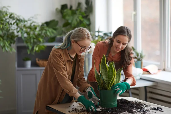 フラワーショップや園芸で一緒に作業しながら 2つの笑顔の女性の花の鉢植えの肖像画 スペースをコピー — ストック写真