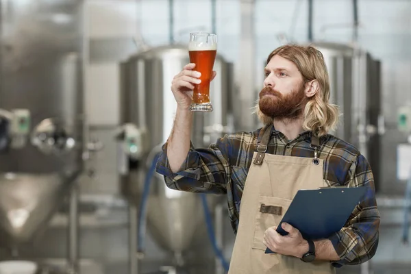 Cintura Até Retrato Cervejeiro Barbudo Segurando Vidro Cerveja Enquanto Inspeciona — Fotografia de Stock