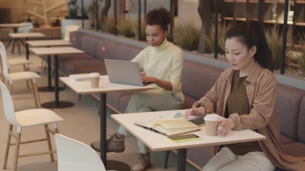 若いアジアの女性は レストランのテーブルでソファに座って 紙コップから飲んで タブレットコンピュータを使用して 他の顧客との安全な社会的距離を保つ — ストック動画