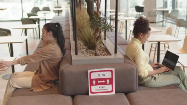 電話で話す若いアジアの女性の中長期的な側面図 ラップトップを使用して混合レースの女性の顧客 レストランでソファに座って ソファにそれらの間のあなたの距離の碑文を保ちます — ストック動画