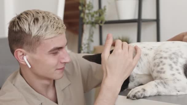 Sarışın Beyaz Bir Gencin Suratını Akıtan Sevimli Bir Fransız Buldoğunu — Stok video